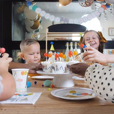 Party Animal - Birthday Party Supplies in a Box - HoneyBug 