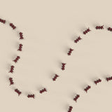 Ant-icipation™