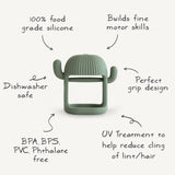 No-Drop Cactus Teether (Dried Thyme) - HoneyBug 