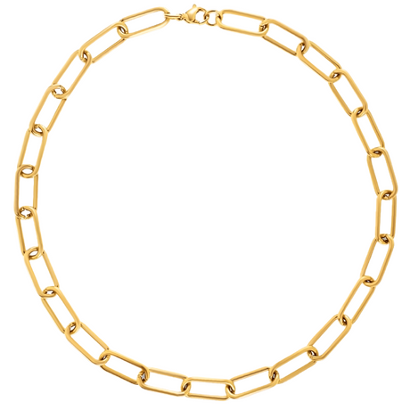Carla Paper Clip Chain Necklace - HoneyBug 