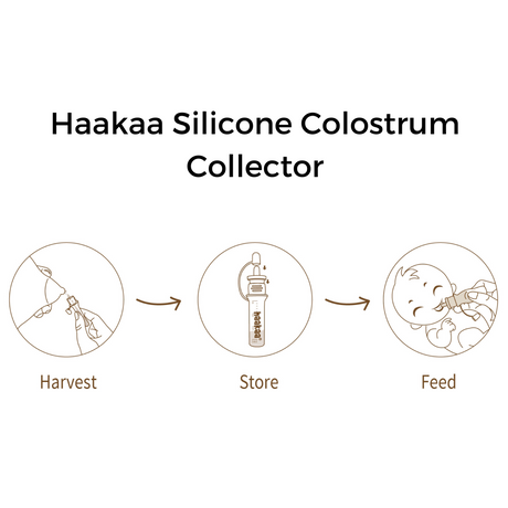 Haakaa Silicone Colostrum Collector Set 4 ml, 6 PK (Pre-Sterilized) - HoneyBug 