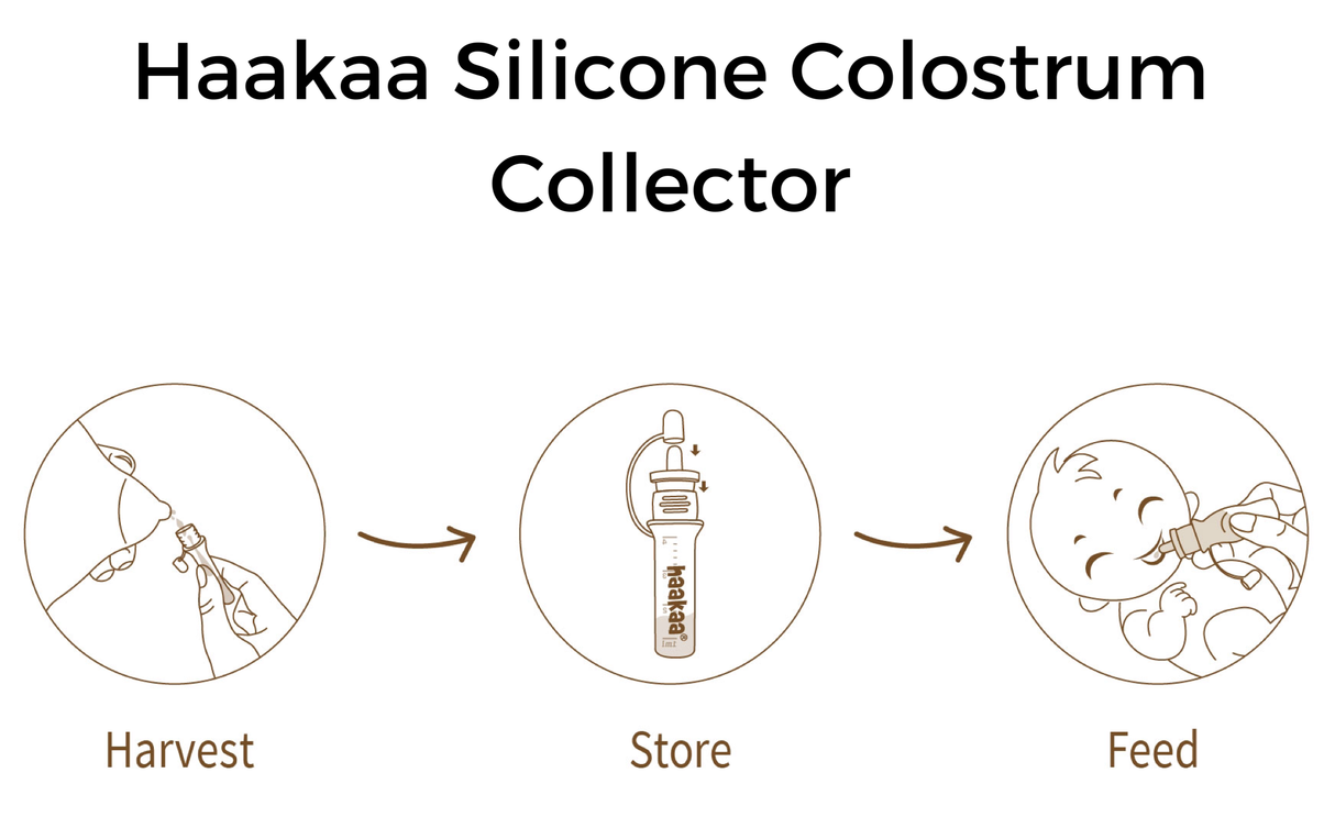 Haakaa Silicone Colostrum Collectors 4 ml, 2 PK (Pre-Sterilized)