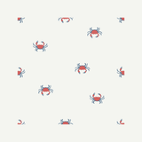 shorts | crab - HoneyBug 