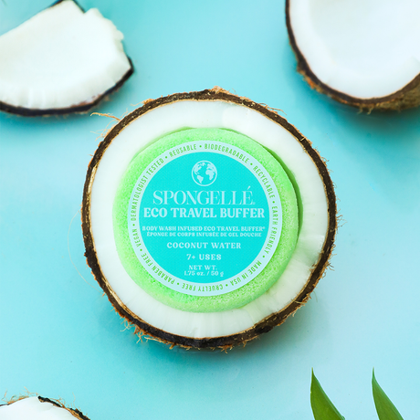 Coconut Water | Eco Travel Buffer - HoneyBug 