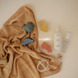 Vehicles Mold Free Bath Play Set - 4 Pack - HoneyBug 