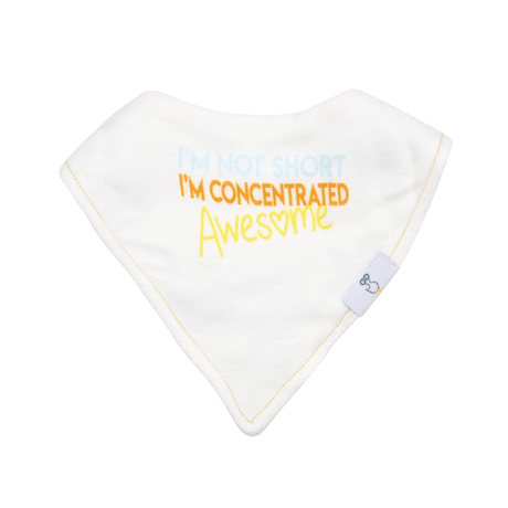 Awesome and Diamonds 2 PK Muslin & Terry Cloth Bib Set - HoneyBug 