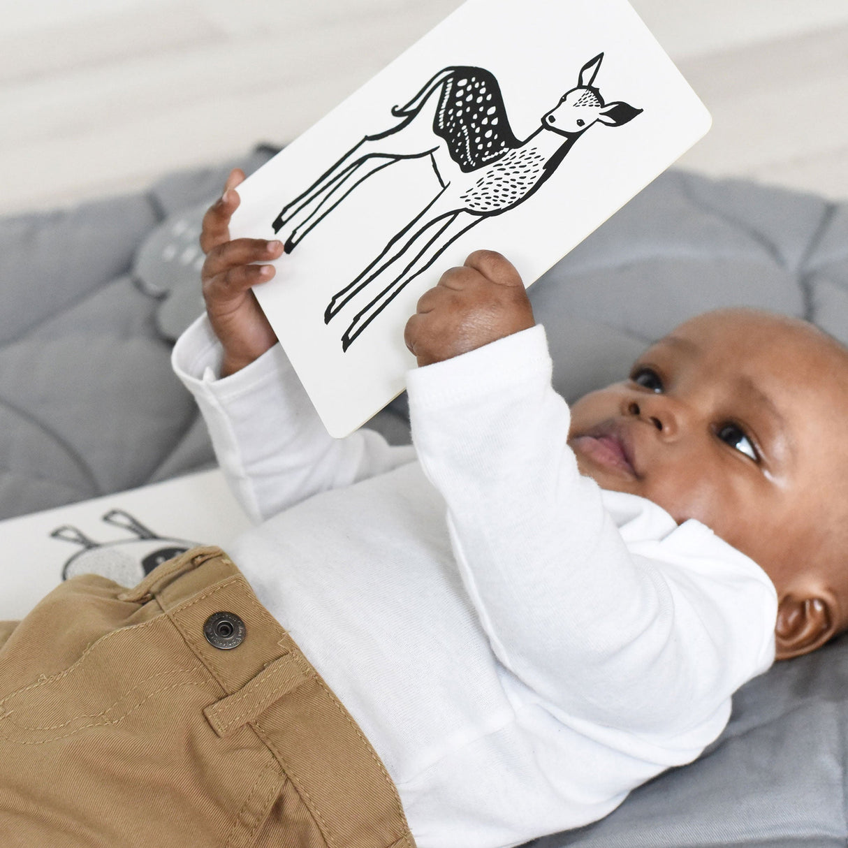 Art Cards for Baby - Black and White Collection - HoneyBug 