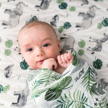 Muslin Swaddle Blanket Set Premium Cotton Jungle + Rainforest - HoneyBug 