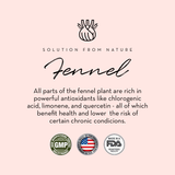 Lactation Support for Breastfeeding - HoneyBug 