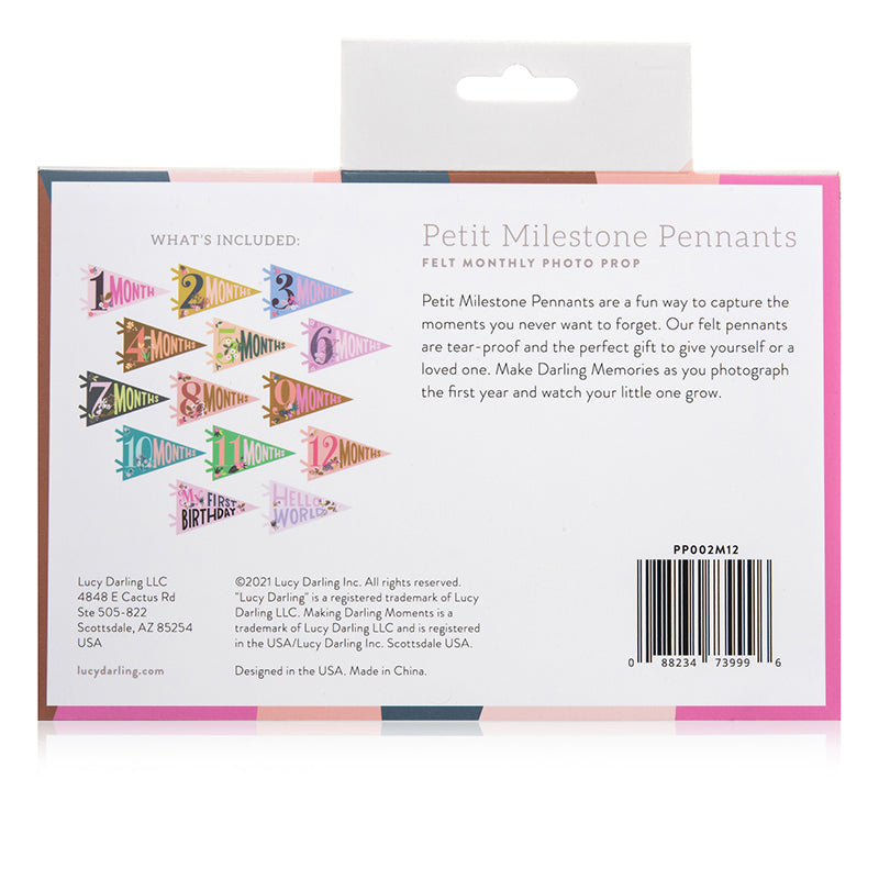Little Artist Petit Milestone Pennants - HoneyBug 