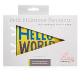 Little Kaleidoscope Petit Milestone Pennants - HoneyBug 