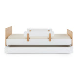 Fun Bed - Twin Bed - HoneyBug 