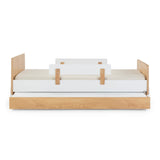 Fun Bed - Twin Bed - HoneyBug 