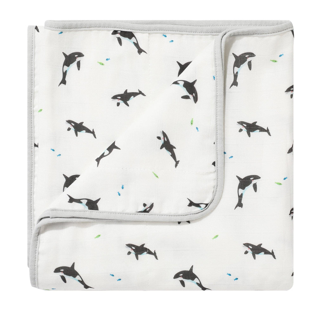 Orca Gift Box - HoneyBug 