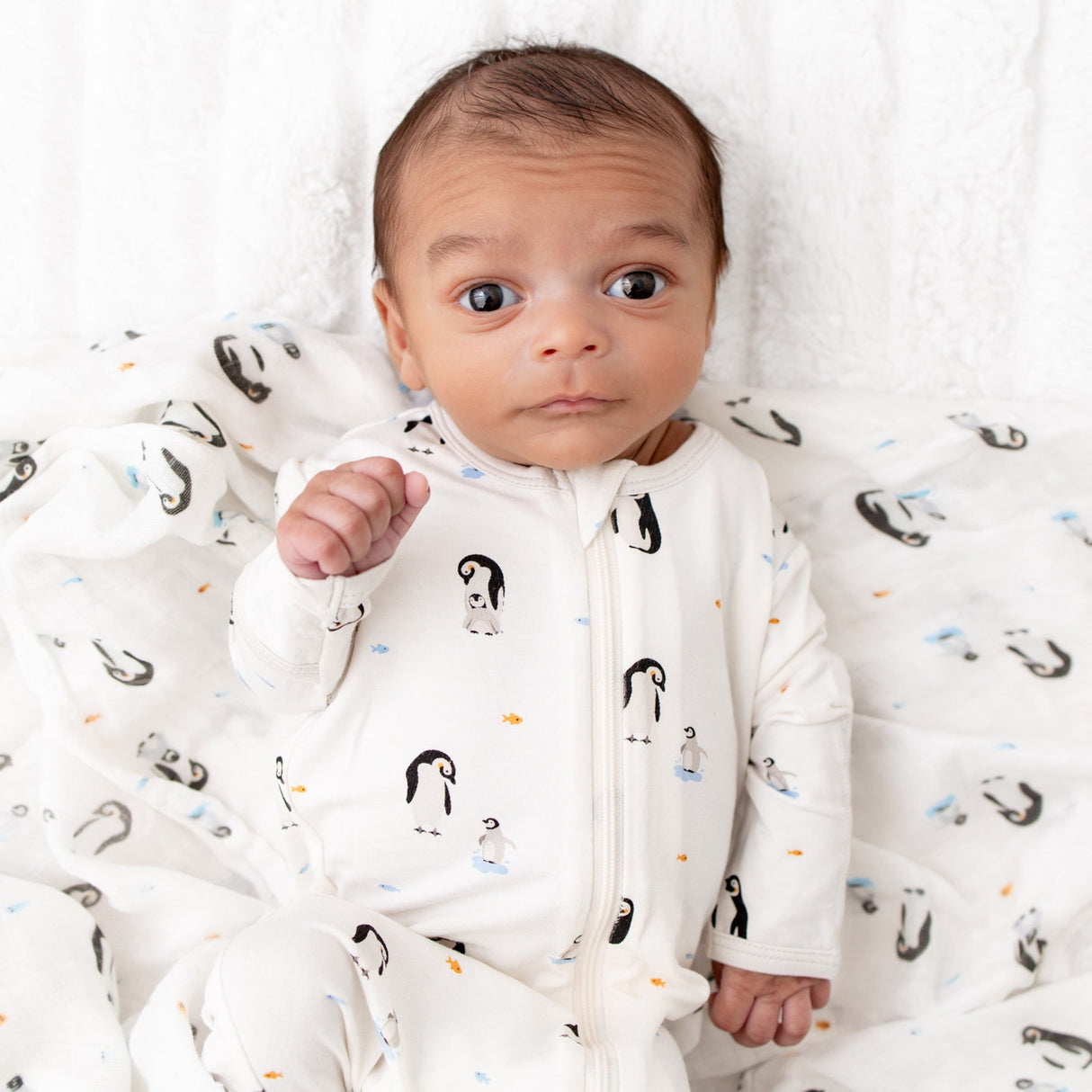 Penguin Zippered Footie - HoneyBug 