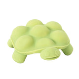 Slow Poke Turtle