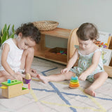 Tiny Land® Montessori Toys Set for Infants (10-12 month) - HoneyBug 