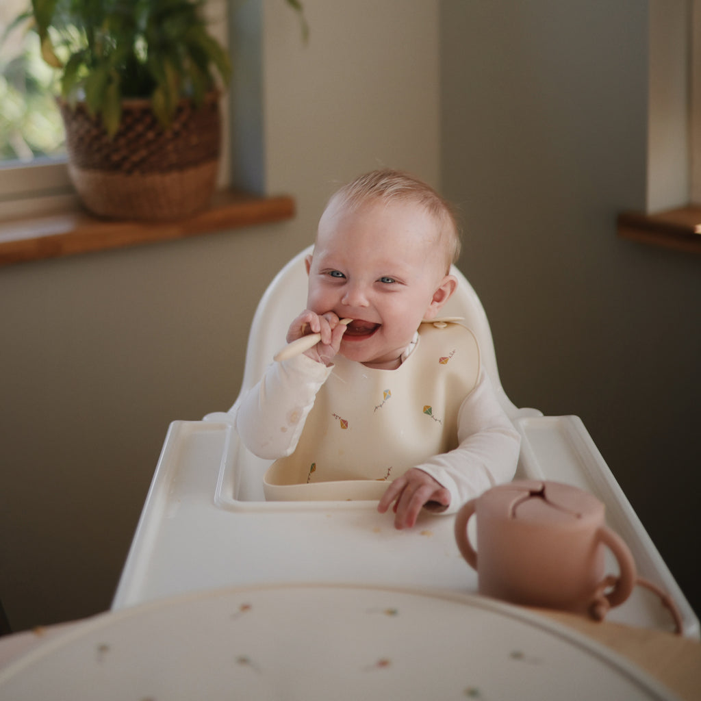 Silicone Baby Bib - Kites - HoneyBug 