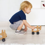 Bear Push Toy - HoneyBug 