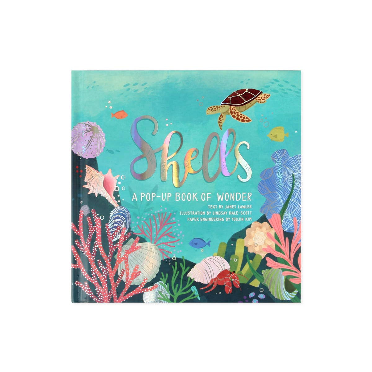 Shells: A Pop-Up Book of Wonder - HoneyBug 