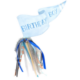 Birthday Boy Party Pennant - HoneyBug 