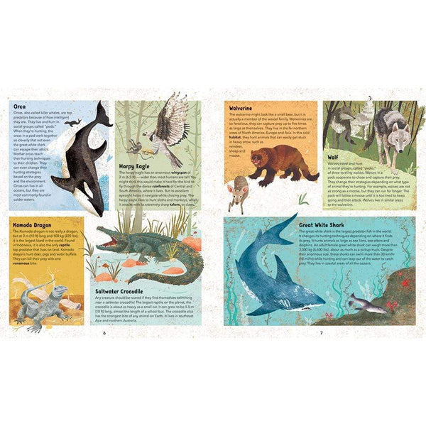 Barefoot Books Incredible Animals - HoneyBug 