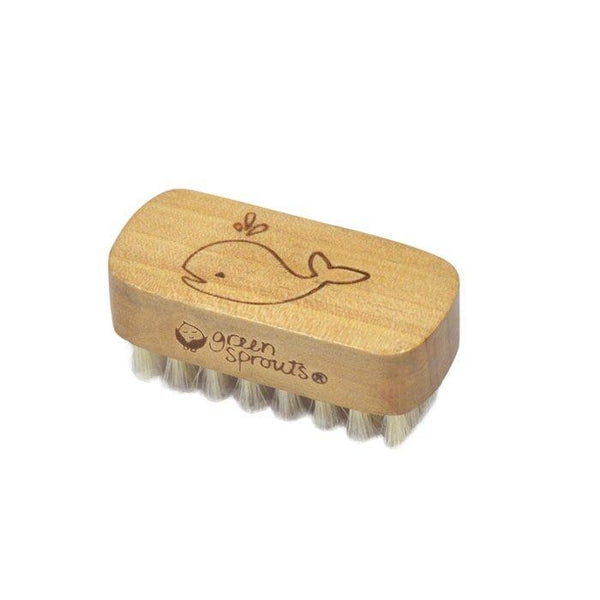 Baby Nail Brush - HoneyBug 