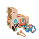 Musical Lili Llama by Manhattan Toy - HoneyBug 