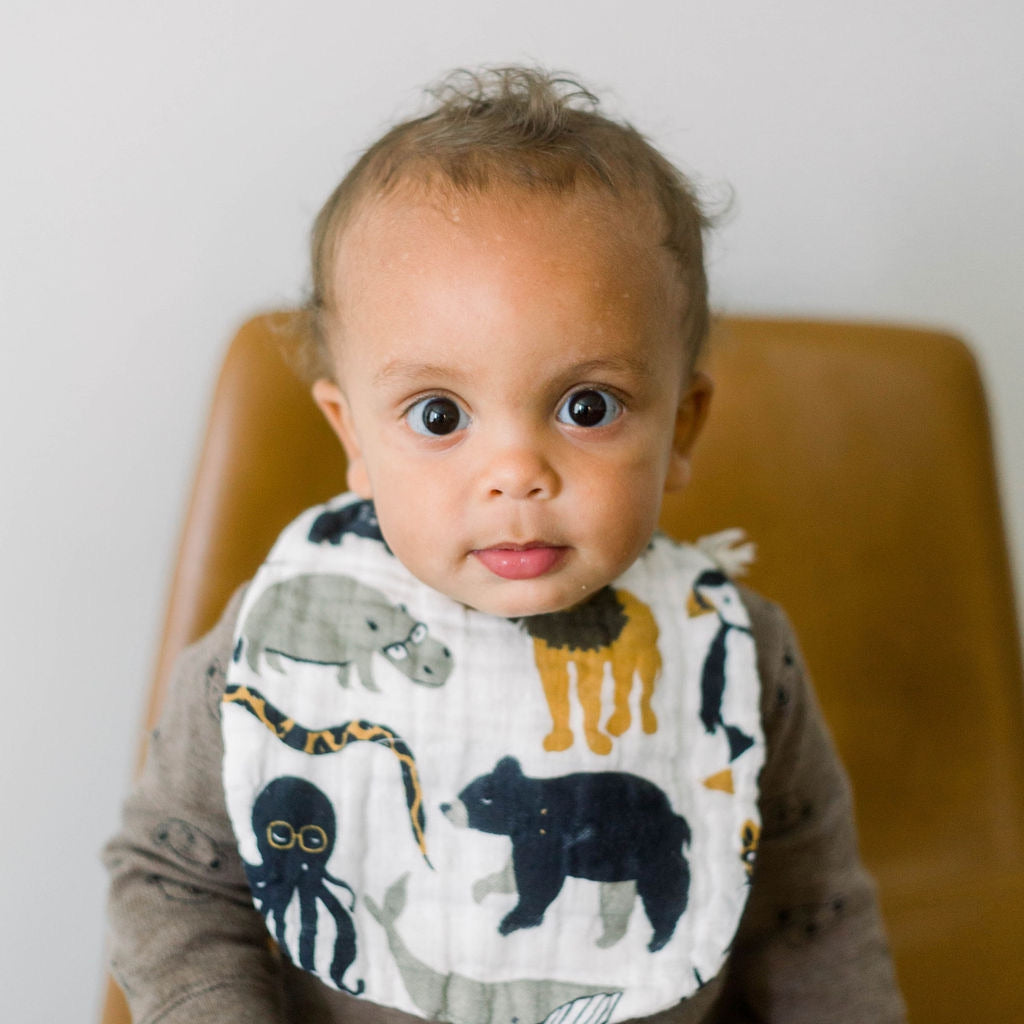 Zoology and Specs Bib Pack - HoneyBug 